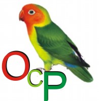 /album/galeria-de-fotos-pagina-inicial/figura1-jpgth-jpg1/