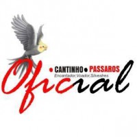 /album/galeria-de-fotos-pagina-inicial/a1914778-172562529799795-6548680442498244922-n-jpg/